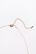 Load image into Gallery viewer, Elizabeth Coin Necklace
